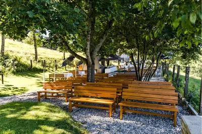 Ein Garten an der Unterkunft Hotel Viktor
