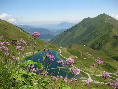 Naturlandschaft in der Nähe der Ferienwohnung