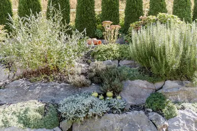 Ein Garten an der Unterkunft Hotel Pension Wilma