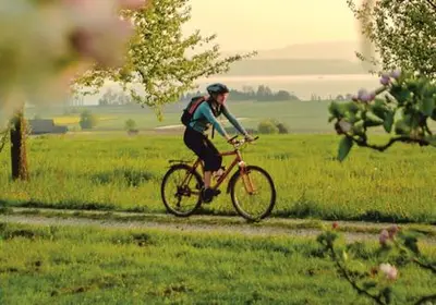 Radfahren an der Unterkunft Ferienwohnung Elsa oder in der Nähe