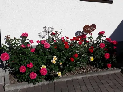 Grundriss der Unterkunft Apartments Rumpler