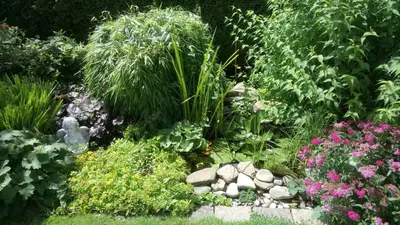 Ein Garten an der Unterkunft Ferienwohnung Annele