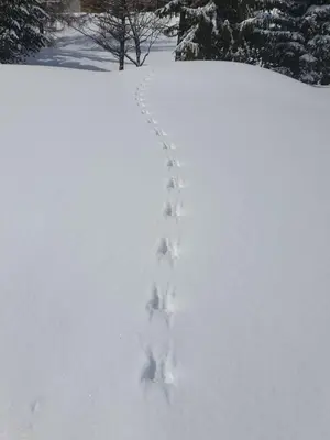 Pension Walkerbach im Winter