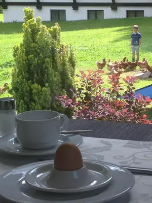 Ein Garten an der Unterkunft Hotel Garni Tannleger B&B