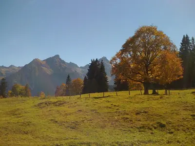 Naturlandschaft in der Nähe der Ferienwohnung