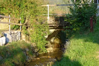 Naturlandschaft in der Nähe der Ferienwohnung