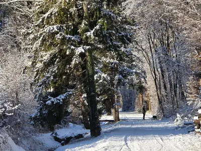 Armonia Altach, 2BR Familienapartment mit großem Balkon und Bergblick im Winter