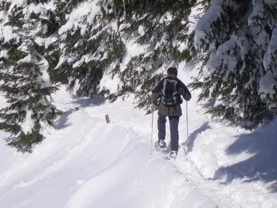 Hotel Bergerhof im Winter