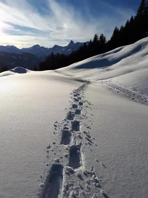 Panorama Erlebnis im Winter