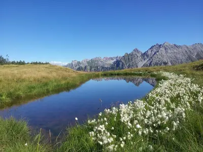Naturlandschaft in der Nähe der Ferienwohnung