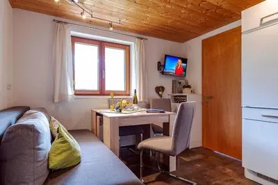 TV/Unterhaltungsangebot in der Unterkunft Haus grüner Wald