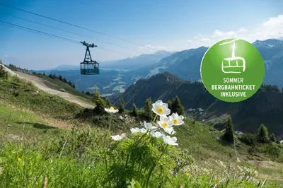 Naturlandschaft in der Nähe der Ferienwohnung