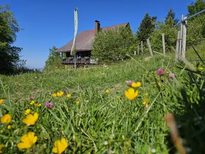 Ein Garten an der Unterkunft Gasthaus Moosegg