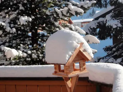 Haus Iris im Winter