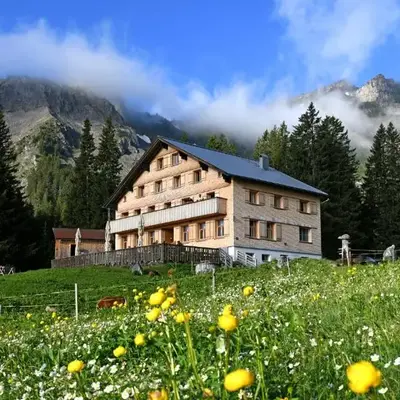 Edelweiß am Öberle