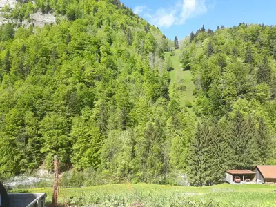 Naturlandschaft in der Nähe der Ferienwohnung