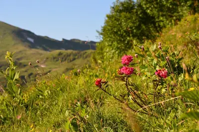 Naturlandschaft in der Nähe des Hotels