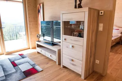 TV/Unterhaltungsangebot in der Unterkunft Ferienwohnung Sinz