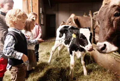Tiere in diesem Bauernhof oder in der Nähe