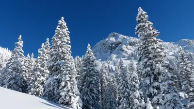 Am Gehren - Arlberg Appartements im Winter