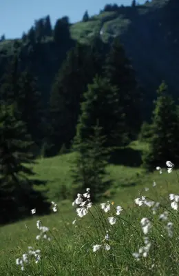 Naturlandschaft in der Nähe der Ferienwohnung