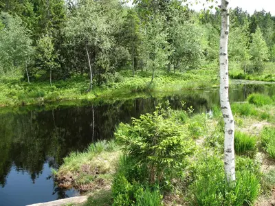Naturlandschaft in der Nähe der Ferienwohnung