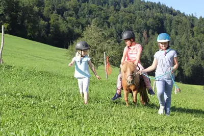 Kinder, die in der Unterkunft Bio Ferienbauernhof Greber - Natururlaub mit Ponys & Kaninchen übernachten