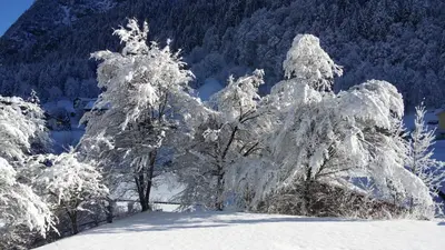 Appartement Haus Zalim im Winter