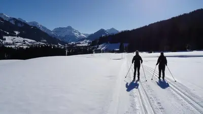 Adlernest im Winter