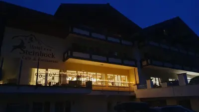 Grundriss der Unterkunft Hotel Steinbock