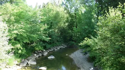 Naturlandschaft in der Nähe der Ferienwohnung