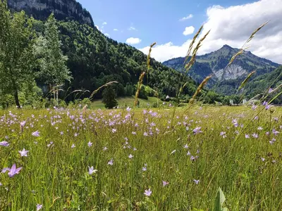 Naturlandschaft in der Nähe des Hotels