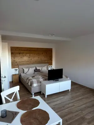 TV/Unterhaltungsangebot in der Unterkunft Ferienapartment Fuchsfarm