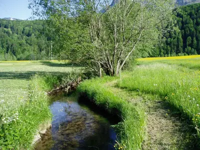 Naturlandschaft in der Nähe der Pension