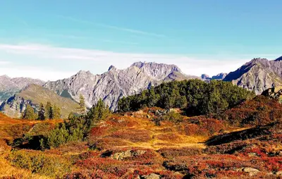 Naturlandschaft in der Nähe des Ferienhauses