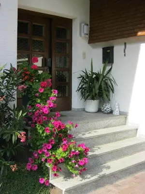 Ein Garten an der Unterkunft Appartements Bischof