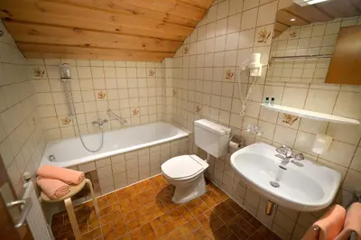 Ein Badezimmer in der Unterkunft Chalet Sonne Vandans