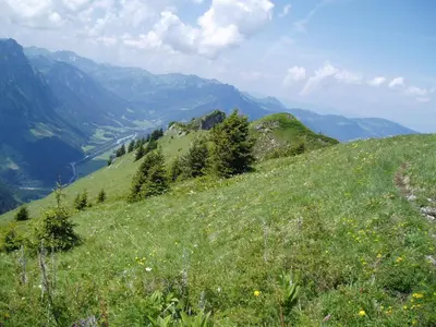 Naturlandschaft in der Nähe der Ferienwohnung