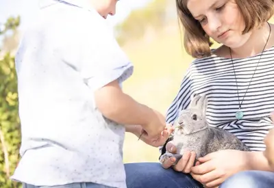 Haustiere von Gästen der Unterkunft Familienbauernhof Köss Schertler