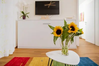 TV/Unterhaltungsangebot in der Unterkunft Cityapartment Dornbirn 50qm zentral in Bahnhofsnähe mit TG