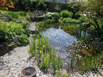 Ein Garten an der Unterkunft Ferienwohnung Geismayr
