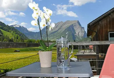 Naturlandschaft in der Nähe der Ferienwohnung