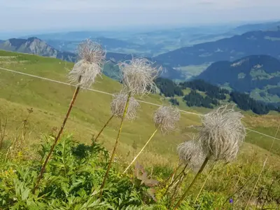 Naturlandschaft in der Nähe der Ferienwohnung