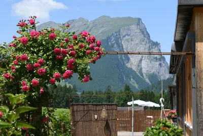 Ein allgemeiner Bergblick oder ein Berglick von der Ferienwohnung aus