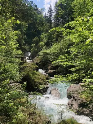 Naturlandschaft in der Nähe der Ferienwohnung