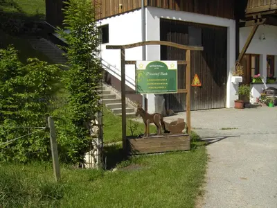 Ein Garten an der Unterkunft Friesenhof Blank