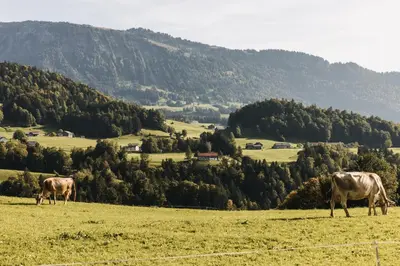 Naturlandschaft in der Nähe des Hotels