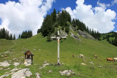 Naturlandschaft in der Nähe der Pension