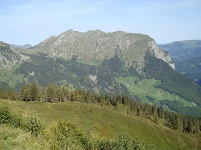 Naturlandschaft in der Nähe des Bauernhofs