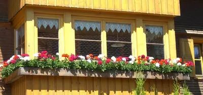 Ein Balkon oder eine Terrasse in der Unterkunft Urlaub bei Moses